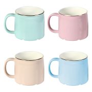TE-089 TAZA FERN