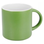 TAZ 043 TAZA AMMY