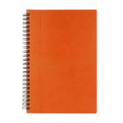 HL 010 LIBRETA ALESA
