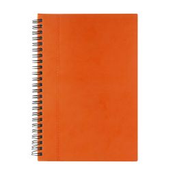 HL 010 LIBRETA ALESA