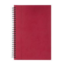 HL 010 LIBRETA ALESA
