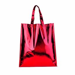 SIN 047  BOLSA CARNAVAL