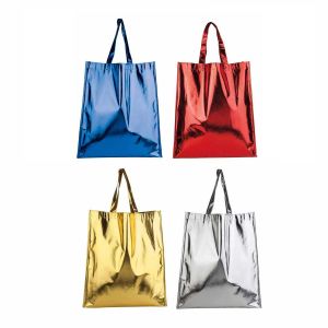 SIN 047  BOLSA CARNAVAL