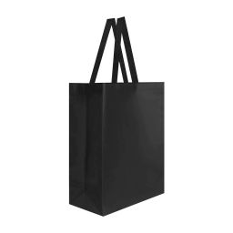SIN 216 BOLSA LAREDO