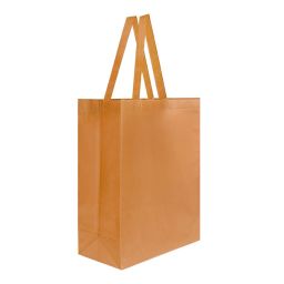 SIN 216 BOLSA LAREDO