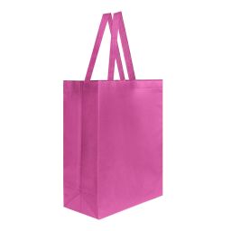 SIN 216 BOLSA LAREDO
