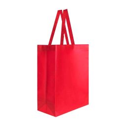 SIN 216 BOLSA LAREDO