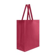 SIN 216 BOLSA LAREDO