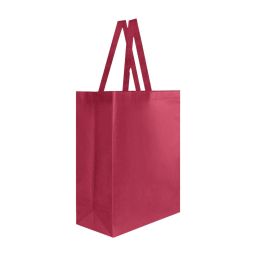 SIN 216 BOLSA LAREDO