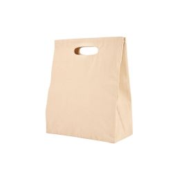 SIN 287  BOLSA GROSER